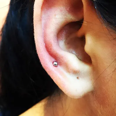 professinal piercing training